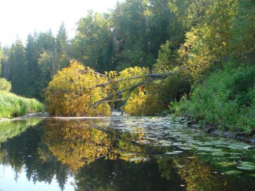Шегарка