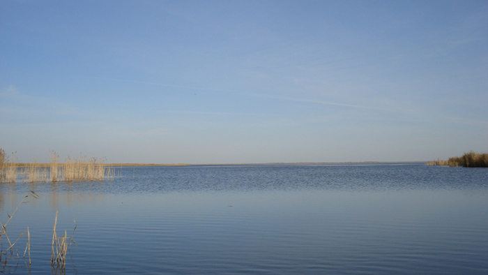 Канкуль