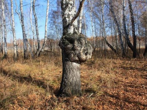 Я такая странная......