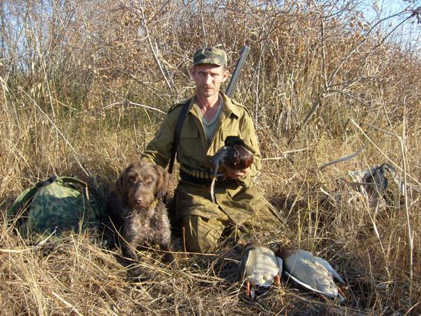 Подарки октября.
