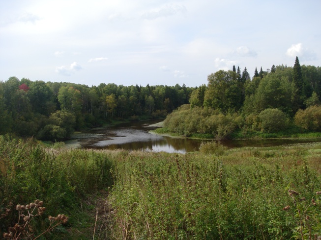 Шегарка