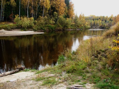 Черная река