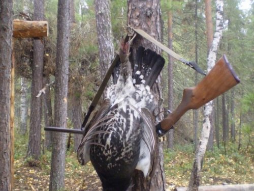  Первый этой осенью.....
