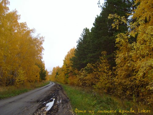 Осенний пейзаж. После дождливых дней...