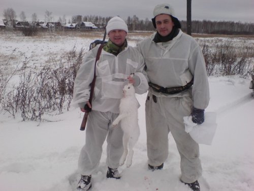 Ушастик