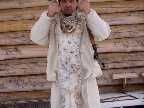 алтай 2008