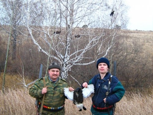 На тетеревов с профилями