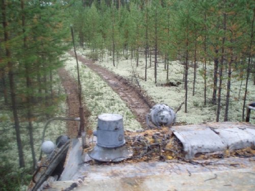Попали в сказку (беломошник).