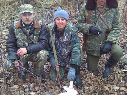 Загоняли беляка