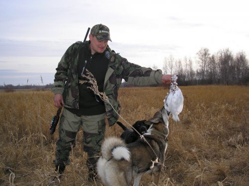 Редкий экземпляр