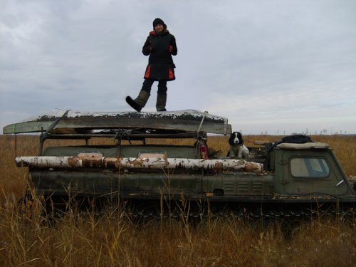 в ноябре