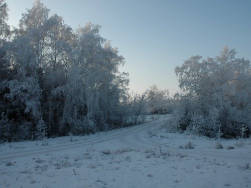 Позднее утро