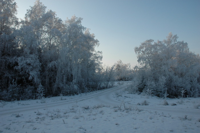 Позднее утро