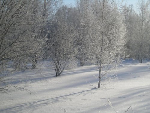 КРАСОТИЩА.........