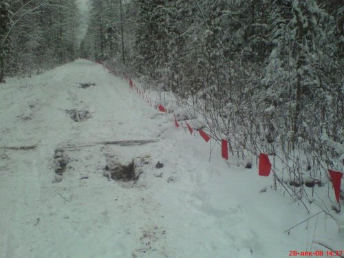 попытались  обложить