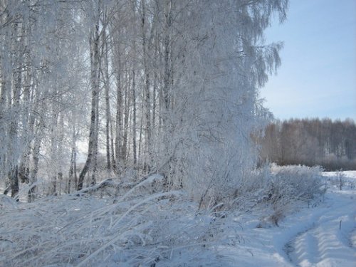 без комментариев