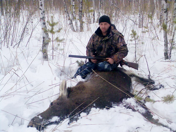 лось, 06.12.2008