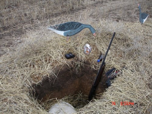 Скрадок в поле.