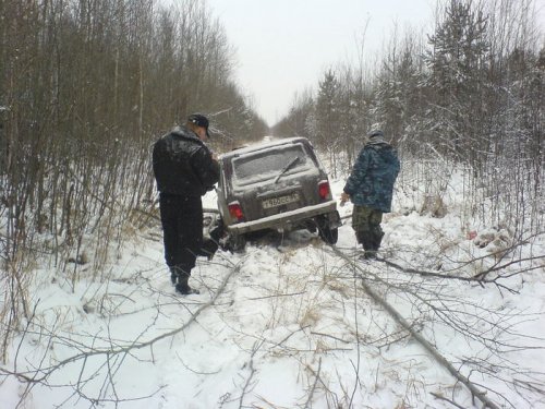 приключений захотелось