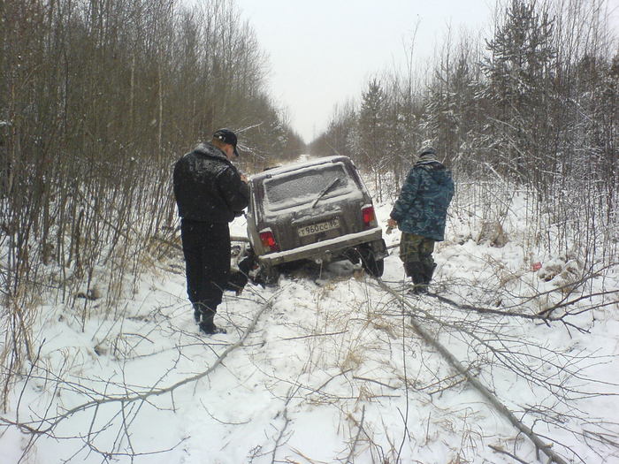 приключений захотелось