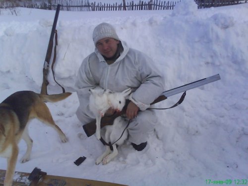 Собачки помогли!
