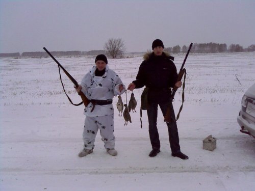 курочки
