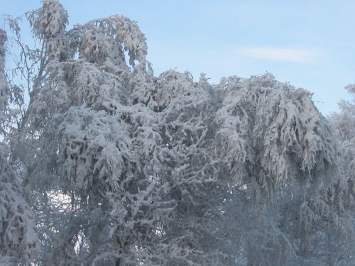 Не замерзай...