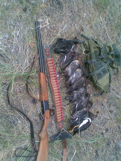 отвёл душу.всё законно!