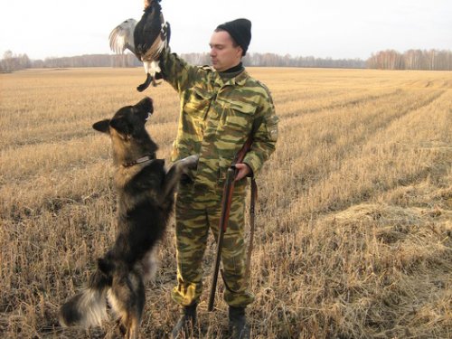 первый этой осенью