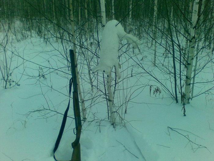 Превый ЛИЧНО затроплённый 09.01.2009