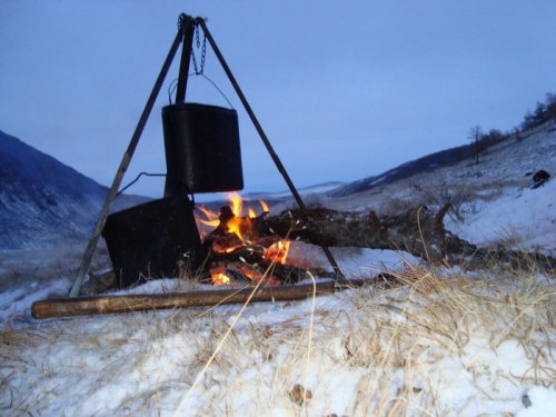 В поисках Сибирского горного козла.  