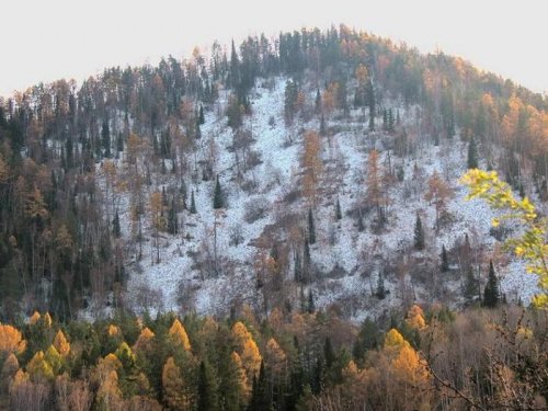 Первый снег в Красноярском крае