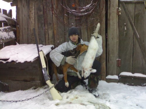 Арфа