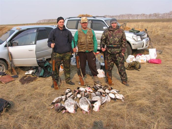 Купино 2008, Стан