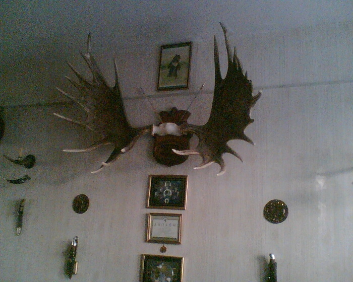 рога