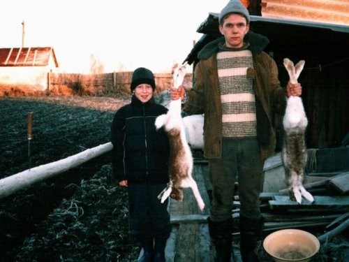 Зайцы - близнецы.