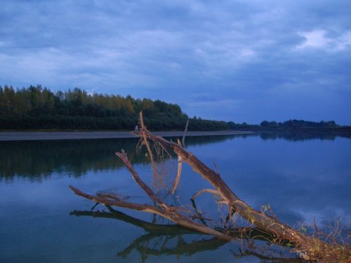Чарыш