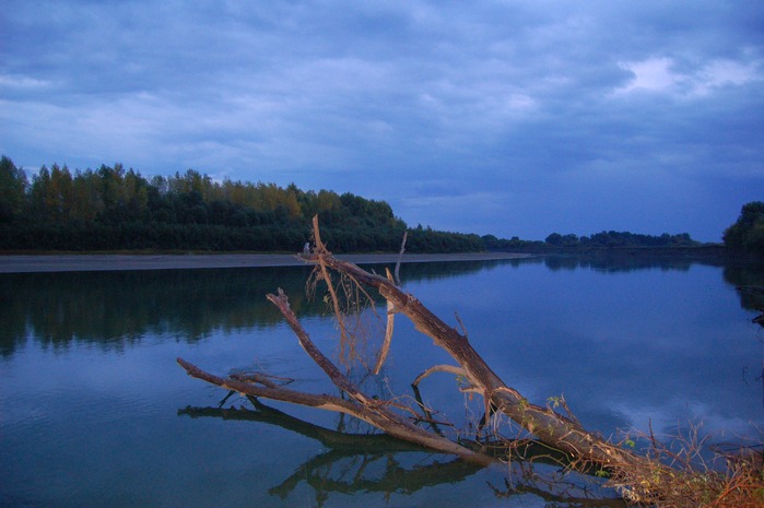 Чарыш