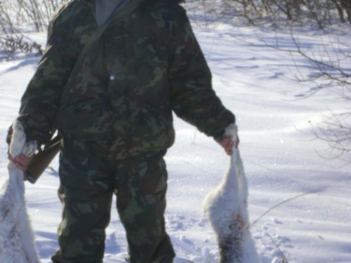 ордынка