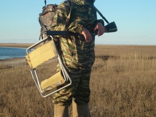 за гусем, Чистоозерный район