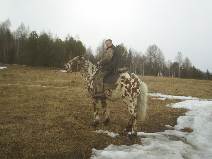 транспорт