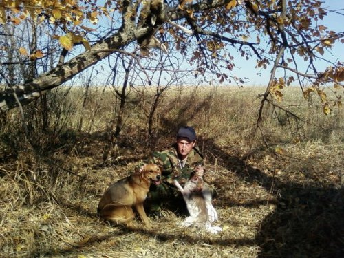 сентябрь 2008