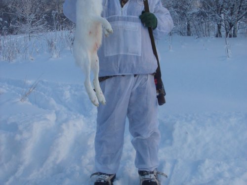 зима 2008