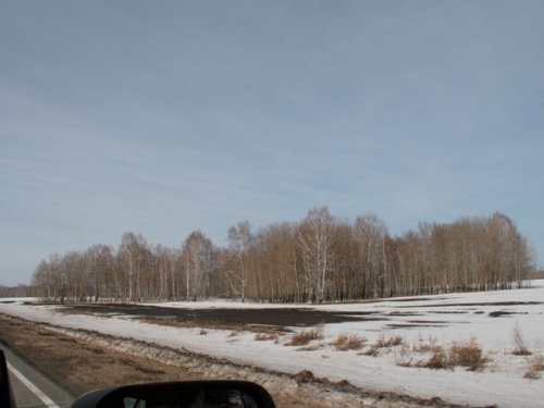 Проталины (р-н Кожевниково)