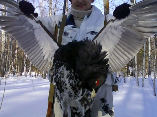 птерадактиль