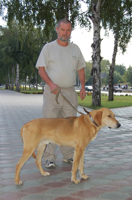 Гул.