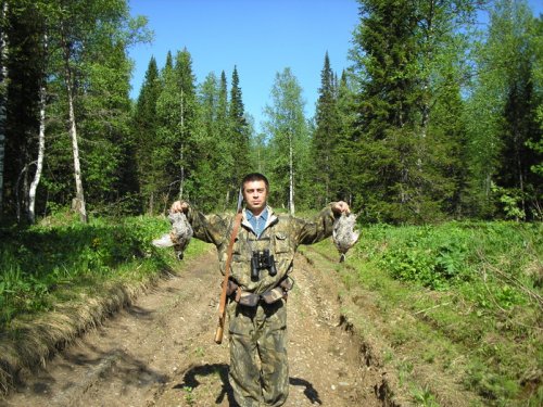 ананасы не нашел