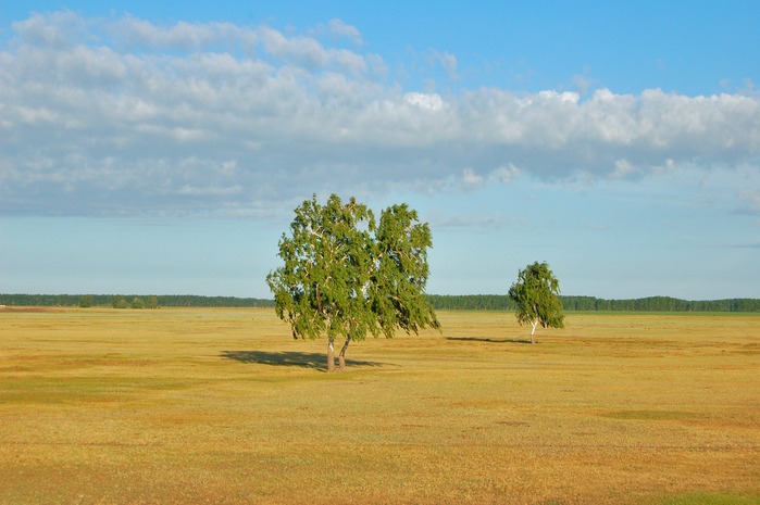 Алтайская степь