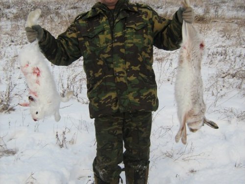 русак и беляк, почувствуй разницу 