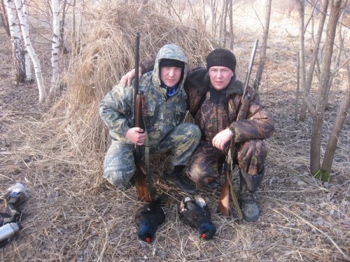 Охота на Косача со скородка!